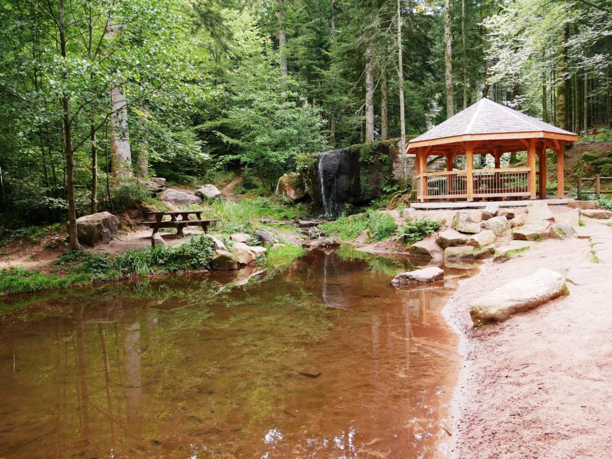 Paillehouse Vosges Villa Denipaire Exteriör bild
